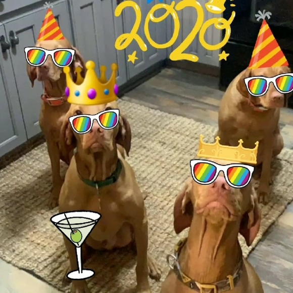 Meet your Posher, Michelle O'Reilly - Picture 4 of 9